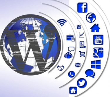 Insider Tips to Get the Most from Your WordPress Website